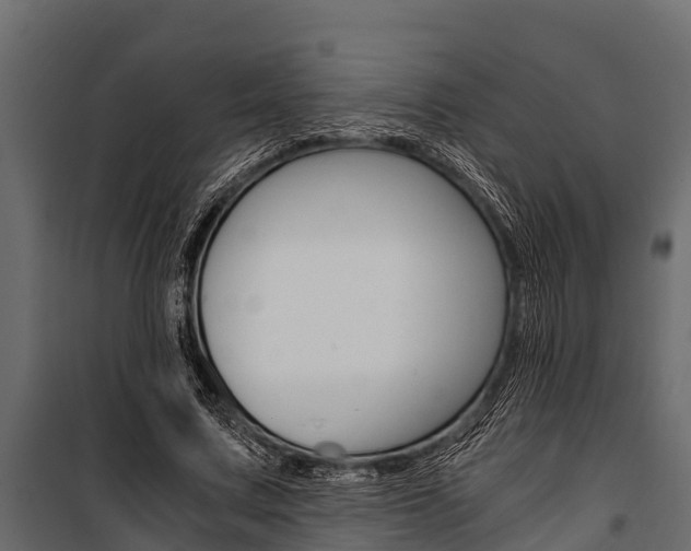 X0000100940683200806241203