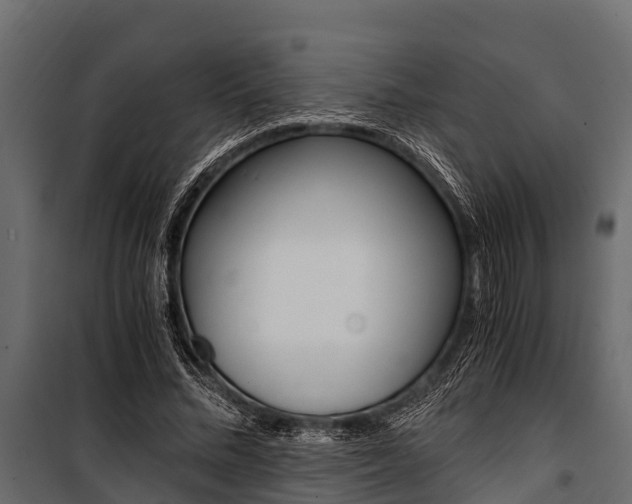 X0000100940684200806241203