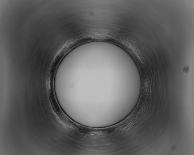 X0000100940686200806241203