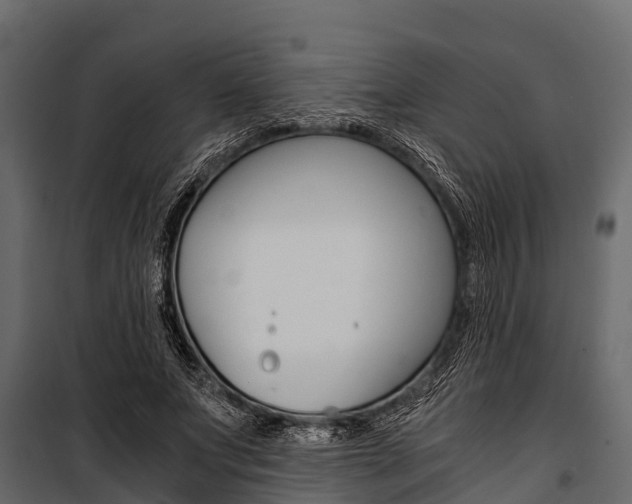 X0000100940687200806241203
