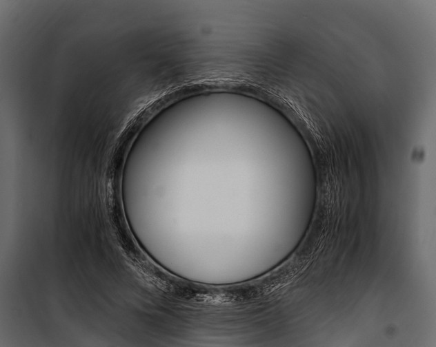 X0000100940688200806241203