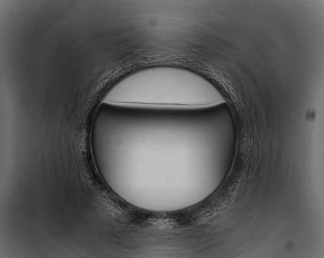 X0000100940689200806241203