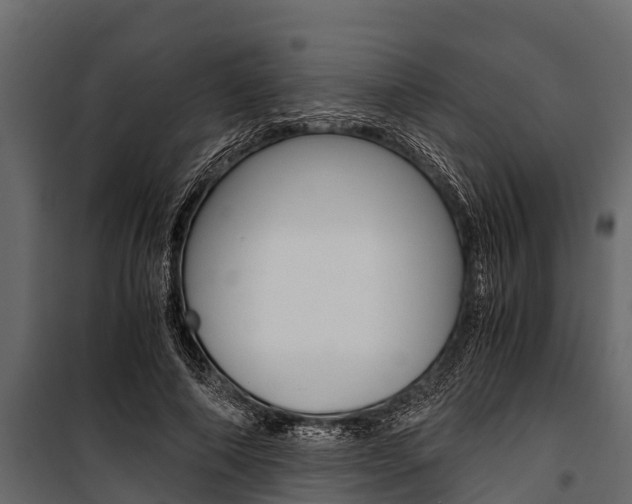 X0000100940690200806241203