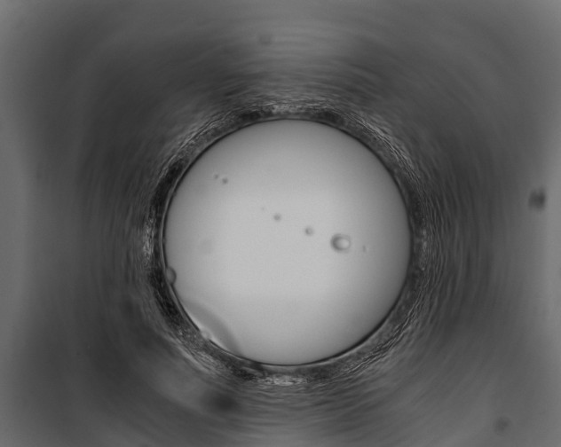 X0000100940691200806241203
