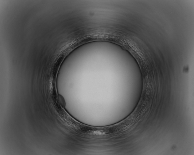 X0000100940692200806241203
