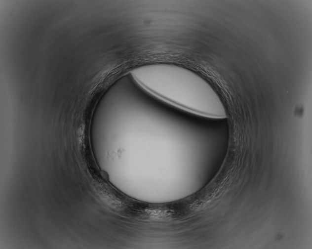 X0000100940693200806241203
