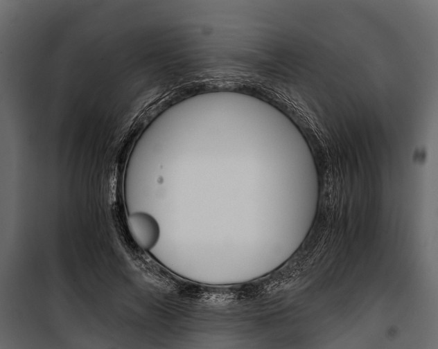 X0000100940694200806241203