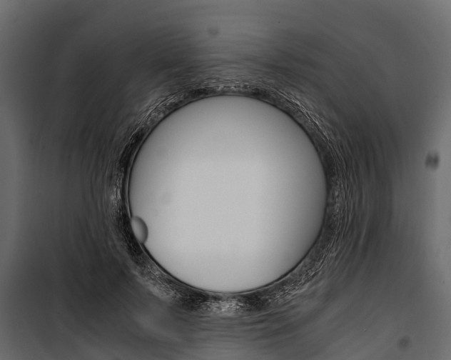 X0000100940695200806241203