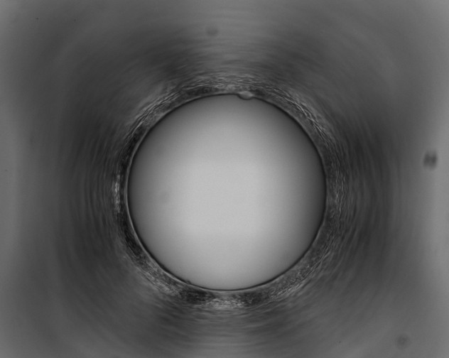 X0000100940696200806241203