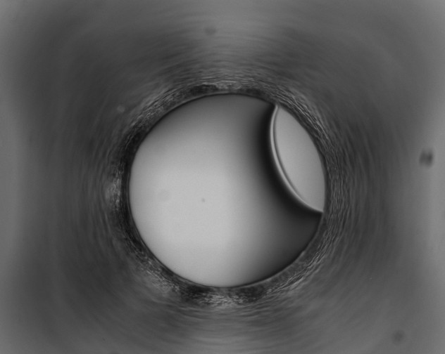 X0000100940697200806241203