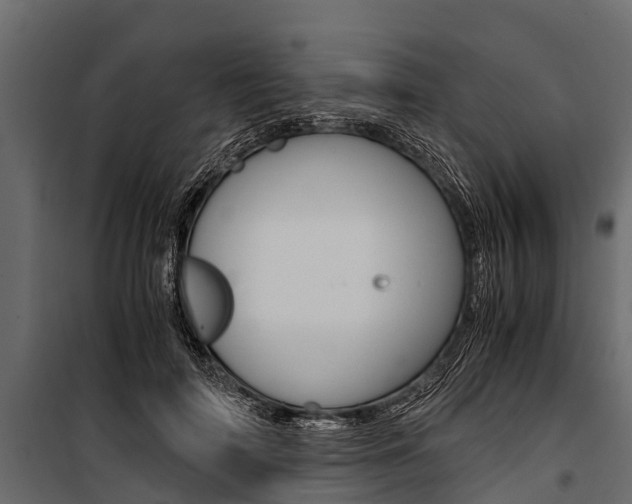 X0000100940698200806241203