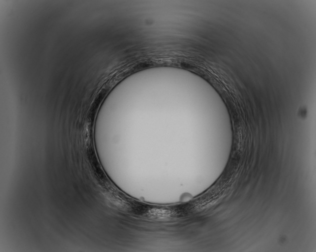 X0000100940699200806241203