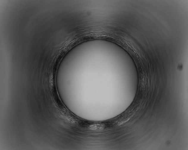 X0000100940700200806241203