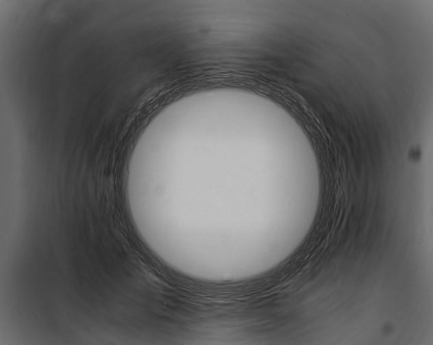 X0000100940701200806241202