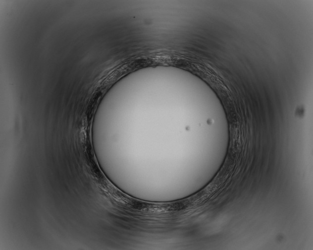 X0000100940702200806241202