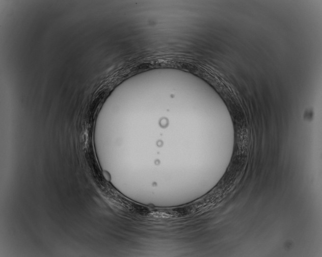 X0000100940703200806241202