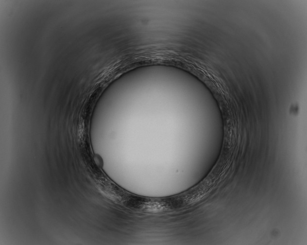X0000100940704200806241202