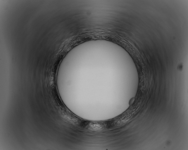 X0000100940706200806241202