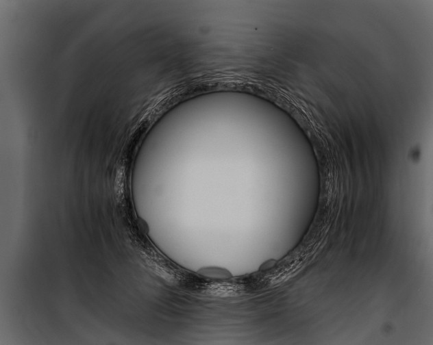 X0000100940708200806241202