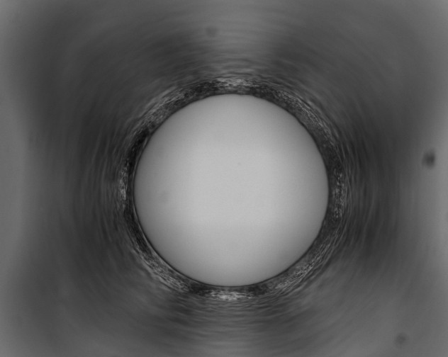 X0000100940710200806241202