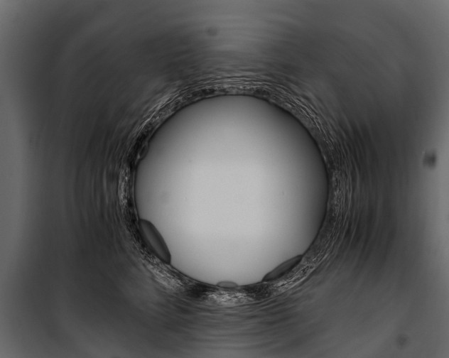 X0000100940712200806241202