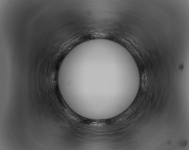 X0000100940714200806241202