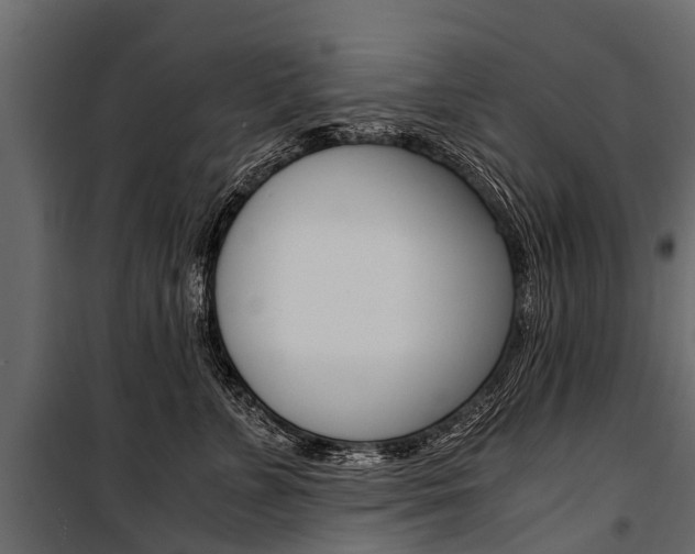 X0000100940715200806241202