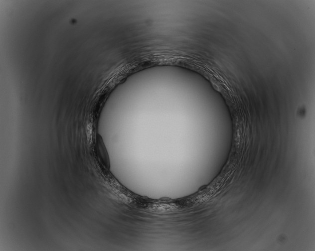 X0000100940716200806241202