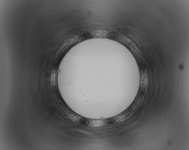 X0000100940717200806241202