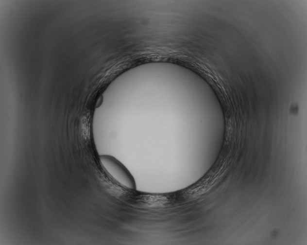 X0000100940719200806241202