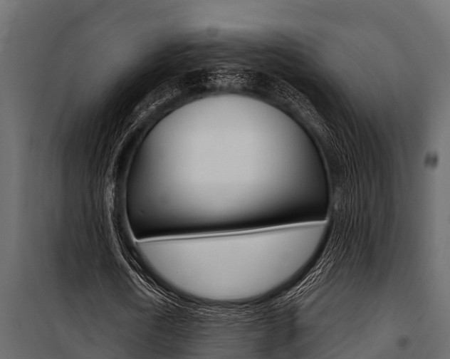X0000100940722200806241201