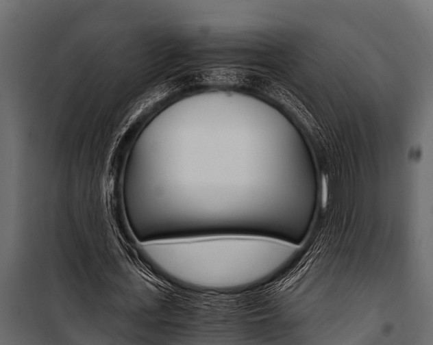 X0000100940723200806241202