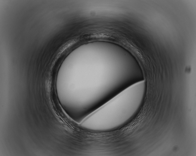 X0000100940724200806241202