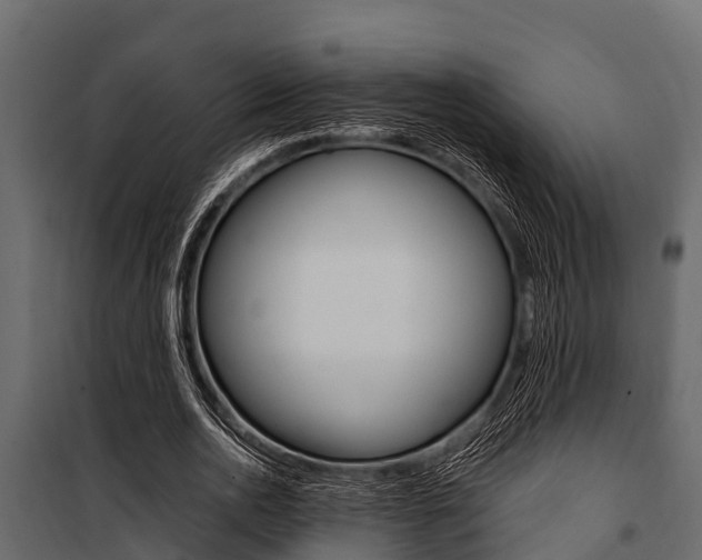 X0000100940726200806241202
