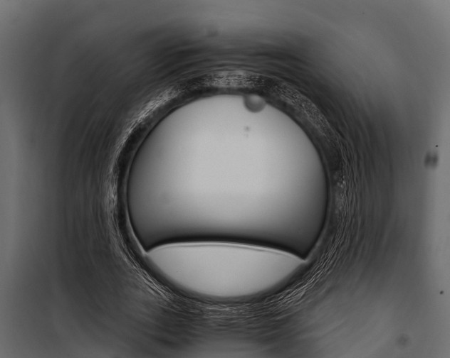 X0000100940727200806241202