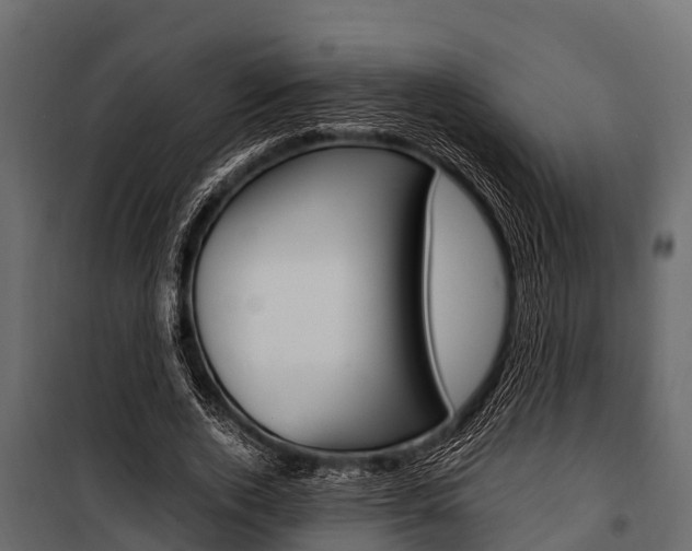 X0000100940728200806241202