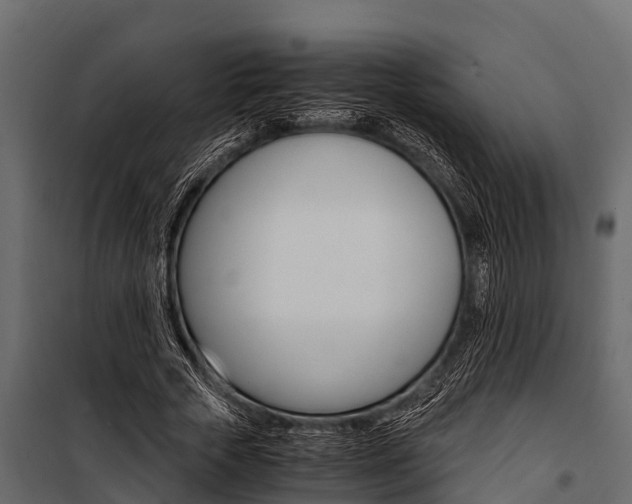 X0000100940729200806241202