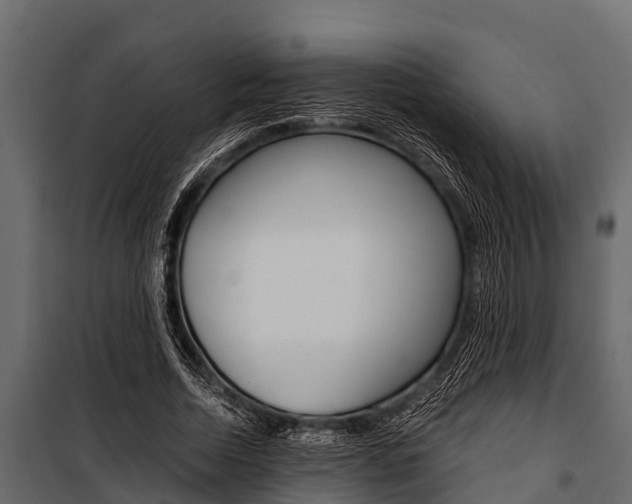 X0000100940730200806241202