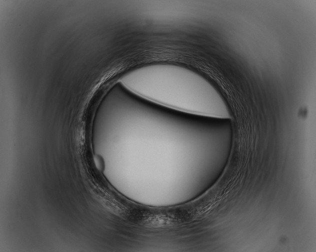 X0000100940731200806241202