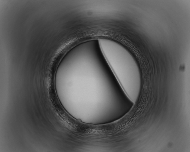 X0000100940732200806241202