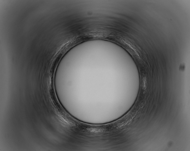 X0000100940733200806241202