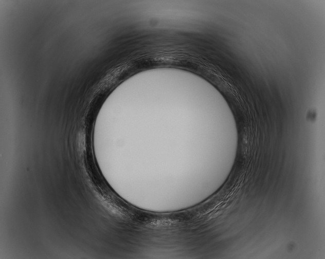 X0000100940734200806241202