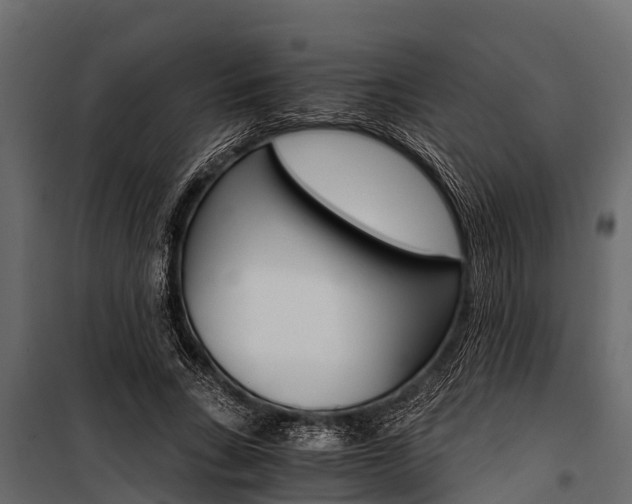 X0000100940735200806241202