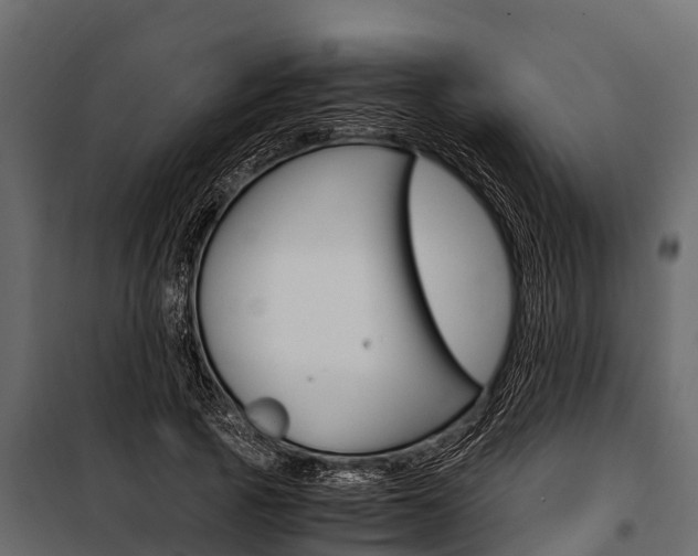 X0000100940737200806241202