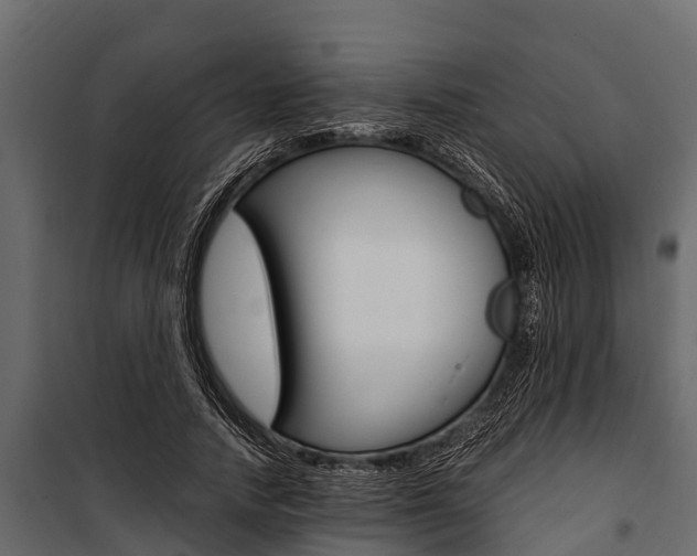 X0000100940738200806241202