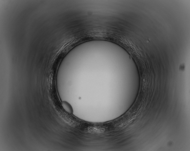 X0000100940739200806241202