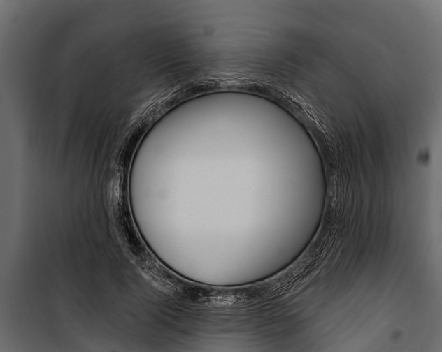 X0000100940740200806241202