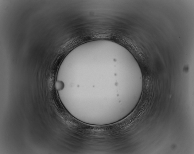 X0000100940741200806241202