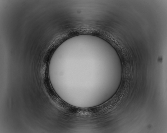 X0000100940742200806241202