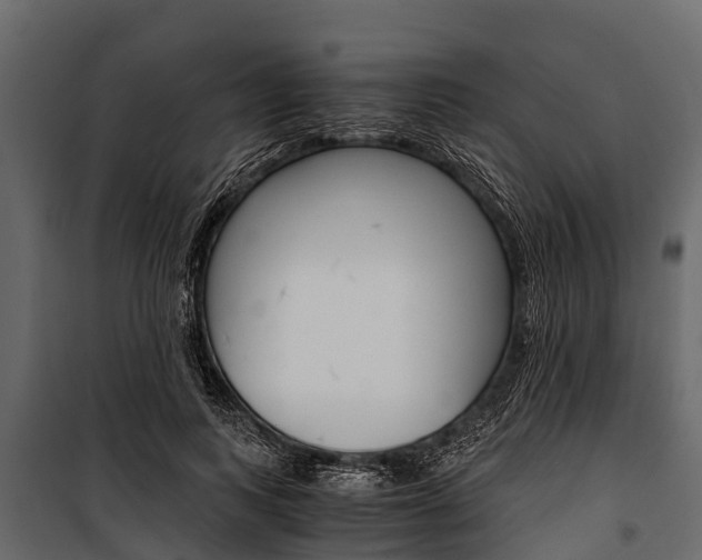 X0000100940743200806241202